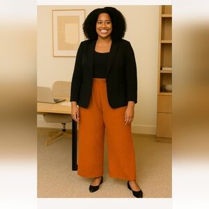 Brand New Ashley Stewart Textured Wide Leg Rust Pants With Elastic Waist.